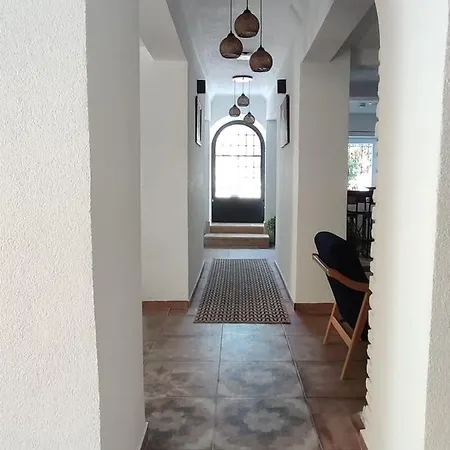 The Professor's * ボドルム