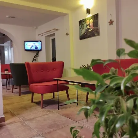 The Professor's * Bodrum