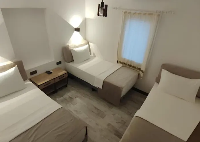 The Professor's * בודרום